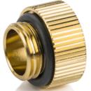 Bitspower Touchaqua G1/4" IG1/4" Extender Fitting True Brass (2 PCS) (BPTA-F40-TB)
