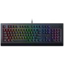 Razer Cynosa V2 Chroma Membrane Gaming Keyboard (EN/TH) (RZ03-03401600-R3V1)