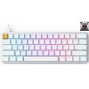 GLORIOUS PC GAMING RACE GMMK Compact Gaming Mechanical Keyboard White Ice Edition Gateron Brown Switch (US)