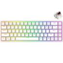 Royal Kludge RK G68 RGB Hot-Swappable Mechanical Gaming Keyboard Brown Switch White (EN/TH)