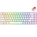 Royal Kludge RK G68 RGB Hot-Swappable Mechanical Gaming Keyboard Red Switch White (EN/TH)
