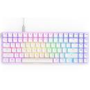 NZXT Function 2 MiniTKL Gaming Mechanical Keyboard NZXT Swift Optical Switch White (EN)(KB-002NW-US)