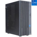 Asus V500 Mini Tower V500MV-13620H002W Black (90PF05R2-M00170)